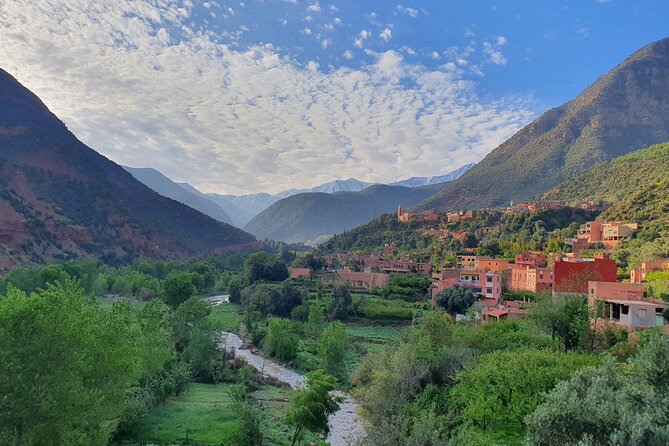 Atlas Mountains Half-Day Tour From Marrakech - Breakfast, argan oil, and Berber culture