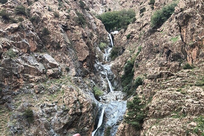 Atlas Mountains Half-Day Tour From Marrakech - Who should book this half-day trip?