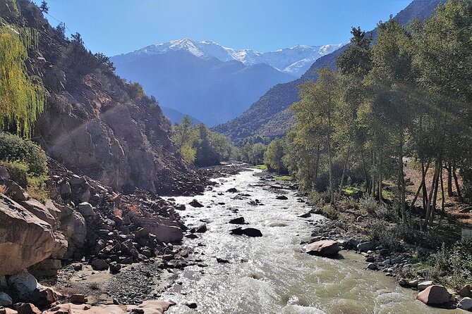 Atlas Mountains Half-Day Tour From Marrakech - Walking through the Ourika Valley