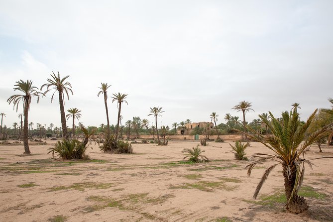 Atlas Mountains Hot Air Balloon Ride from Marrakech with Berber Breakfast and Desert Camel Experience - Transport, timing, and group size