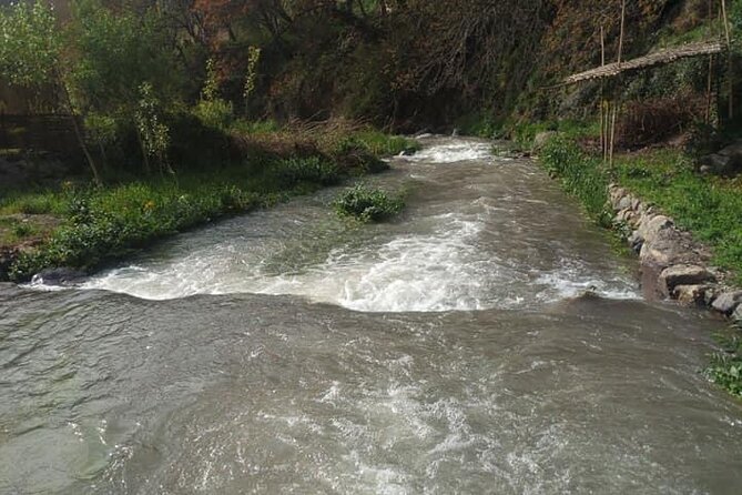 Atlas Mountains ourika valley Guided Tour - Should you book this Ourika Valley tour?