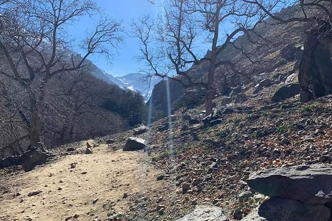 Atlas Mountains, Waterfalls Day Hike & Trek From Marrakech - Meeting a Berber family at home