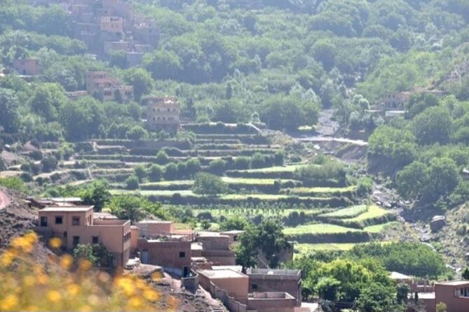 Atlas Tour: Imlil-Meals-Chameau Waterfall from Marrakech - Key points to know before booking