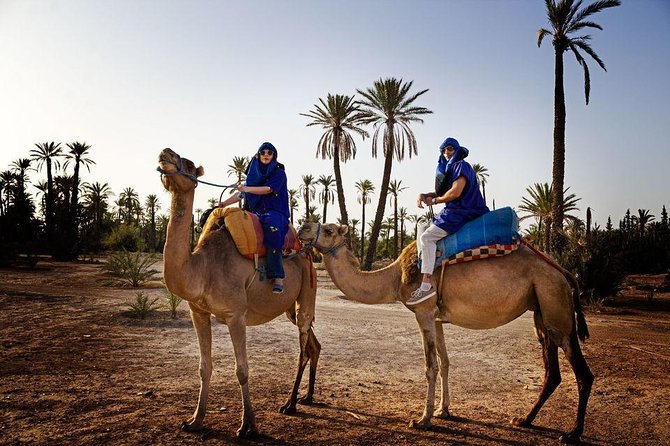 ATV Quad biking in Marrakech desert palmgrove - Families, beginners, and confident riders