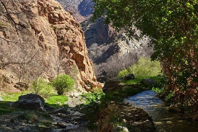 Berber villages : Atlas Mountains Day Hike from Marrakech - Two hours back to Marrakech