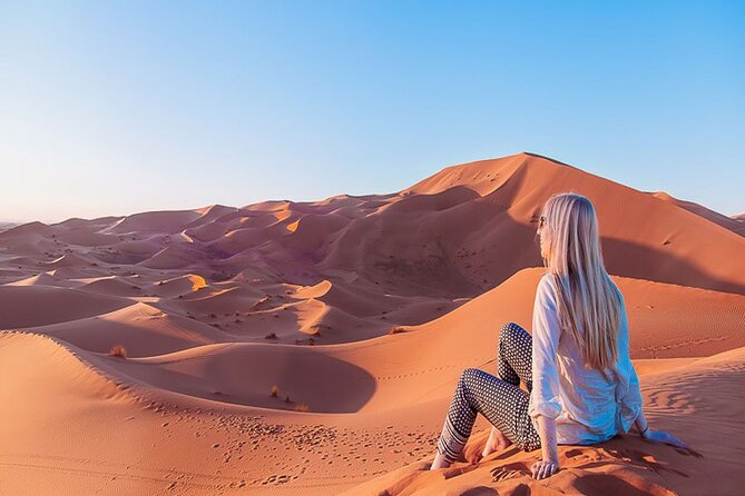 Best 9-Day Morocco Tour From Casablanca - Ifrane, cedar forest, and the long run to Merzouga