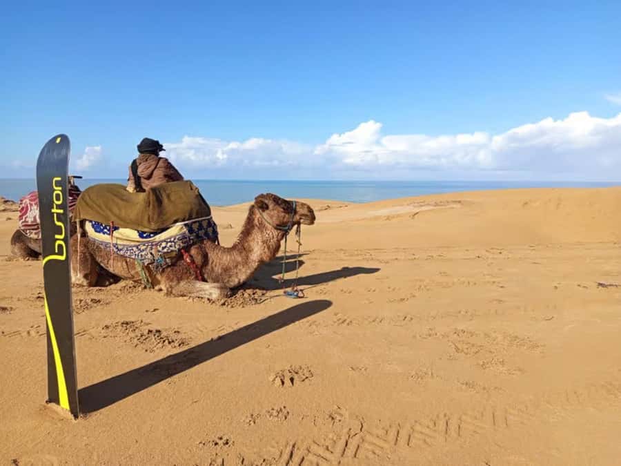 Best Agadir Desert Adventure: Quad Camel Sandboarding & BBQ - Optional quad biking across beach and mountain routes