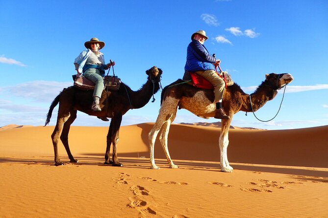 Best Fes to Merzouga Desert Tour 2 Days - Ifrane, Morocco’s mountain-town surprise