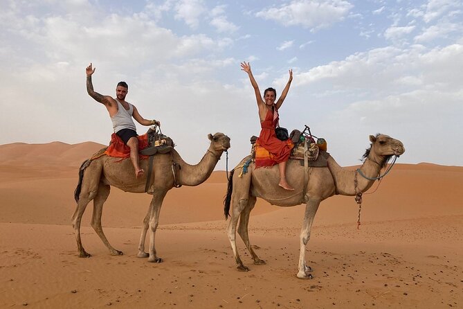 Best Fes to Merzouga Desert Tour 2 Days - Barbary apes and the Azrou cedar forest