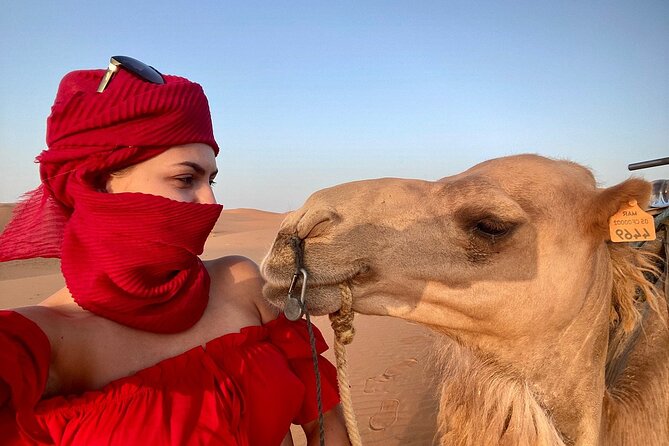 Best Fes to Merzouga Desert Tour 2 Days - Ziz Valley, Errachidia, and the changing scenery