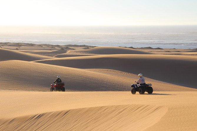 Big Cap Sim dunes and forest 3 hours tour. - From the Essaouira meeting point to Cape Sim