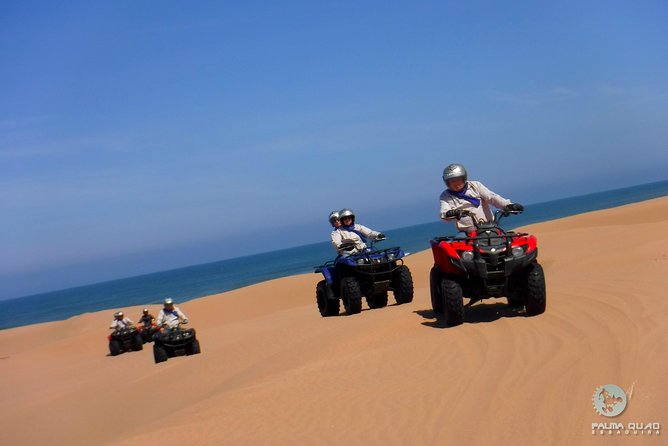 Big Cap Sim dunes and forest 3 hours tour. - Cape Sim’s dunes and the route toward the lighthouse