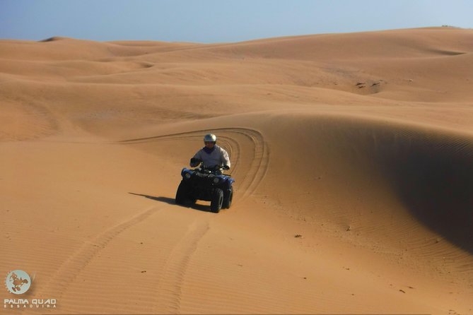 Big Cap Sim dunes and forest 3 hours tour. - Is $74.15 good value?