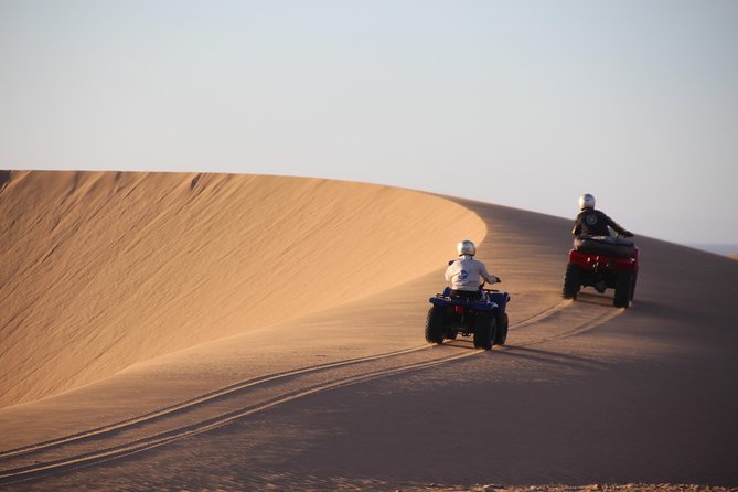 Big dunes and atlantic coast tour 2 HOURS - Key points before you book