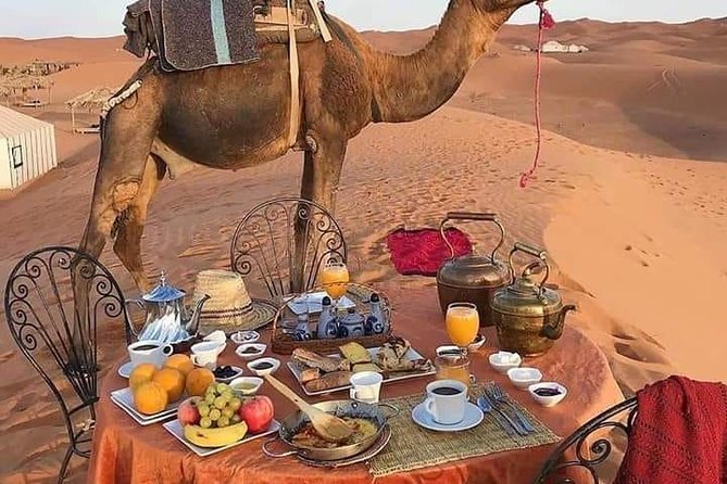 Big Morocco Tour 15 Days From Casablanca - Days 1 and 2: Casablanca and Morocco’s capital