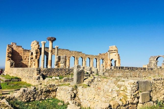 Big Morocco Tour 15 Days From Casablanca - Day 5: Volubilis, Meknes, and the road to Fes