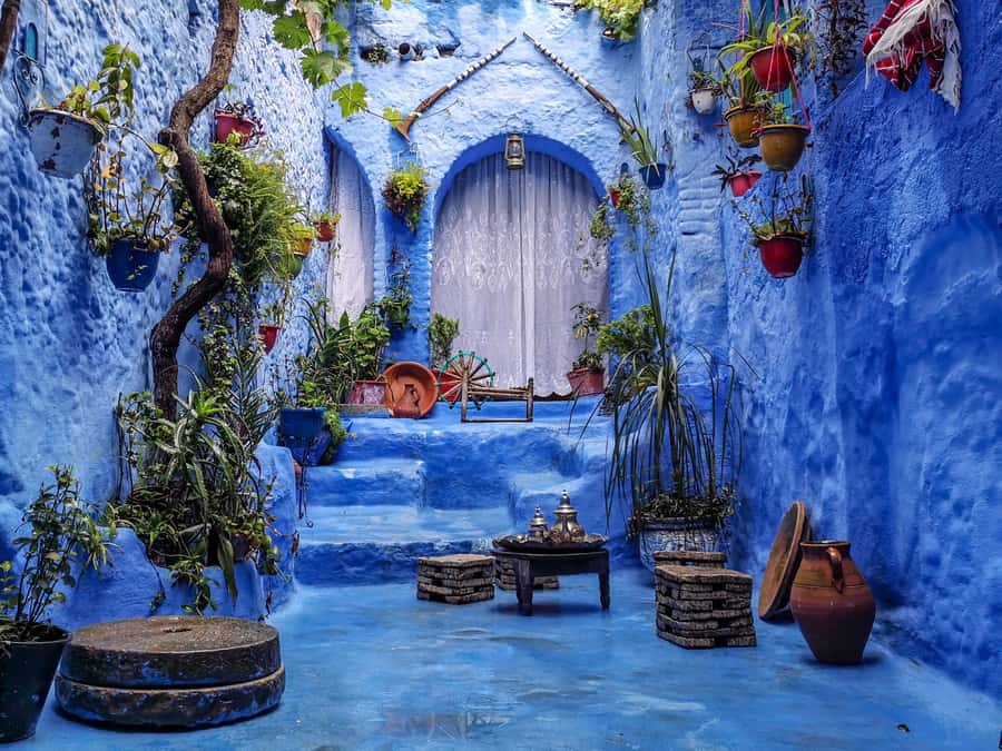 Blue City magic: Affordable Day Trip from Fez to Chefchaouen - What the transport is really worth at $28