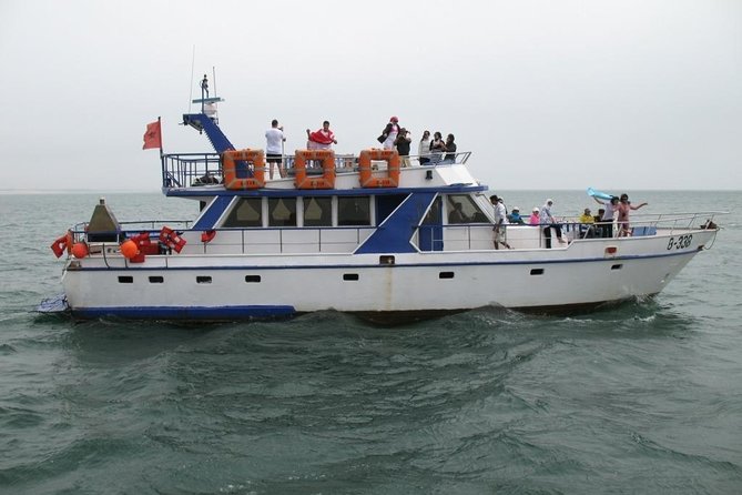 Boat Tours in Agadir lunch including ( sea food ) - Key points before you book
