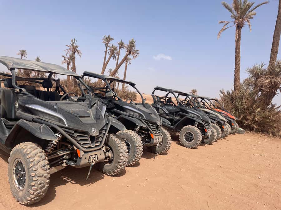 Buggy 1000 cc Adventure in Marrakech Desert - Adding a camel ride to the motorized outing