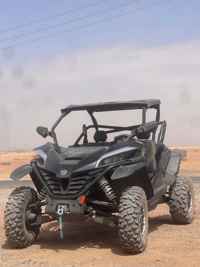 Buggy Marrakech Desert and Palmerie - Who should book this ride?