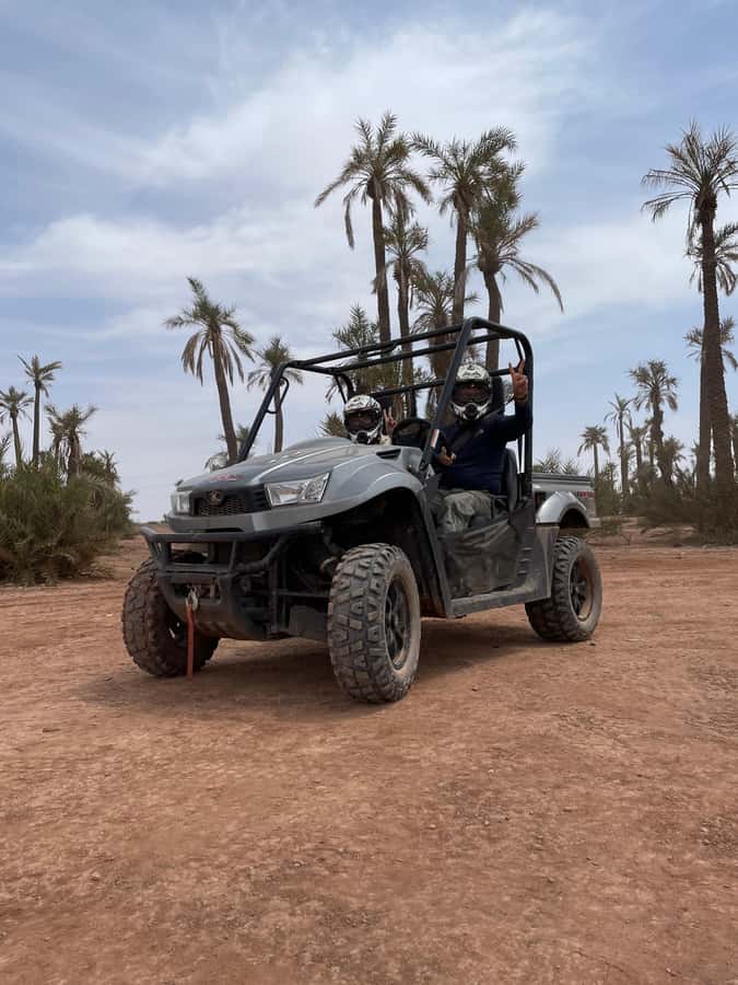 Buggy ride at the Palm Grove and Desert with swimming pool - Key points at a glance