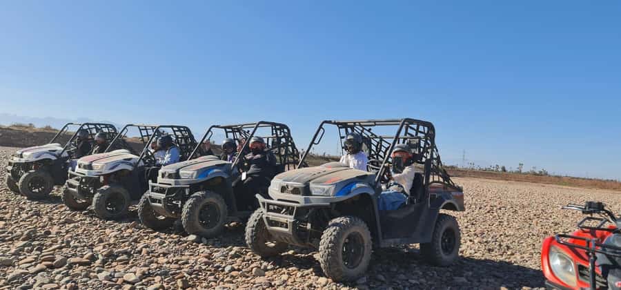 Buggy ride at the Palm Grove and Desert with swimming pool - Why this buggy ride works beyond the city