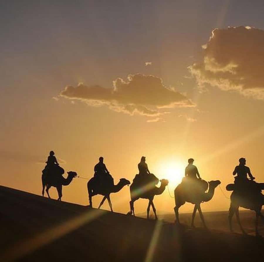 Buggy ride with camels and dinner show in agafay desert - A pool, tea, and possible extra stops