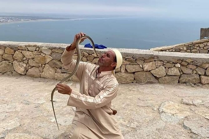 Cable Car Experience and Agadir City Tour. - Argan oil at the cooperative