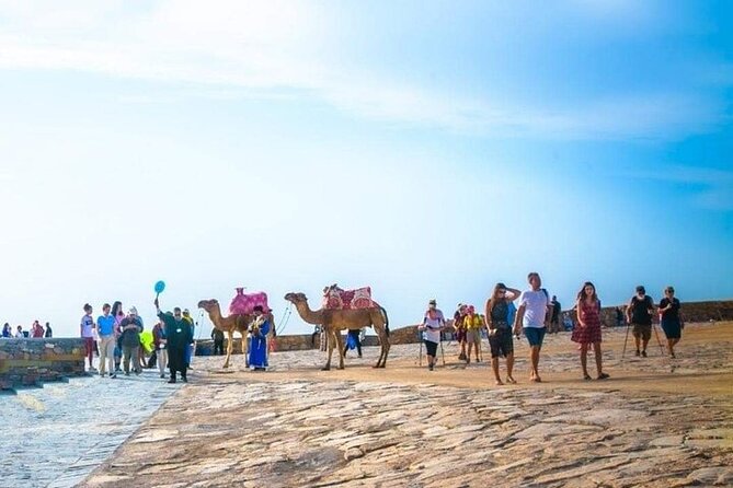 Cable Car Experience and Agadir City Tour. - A private tour with useful convenience