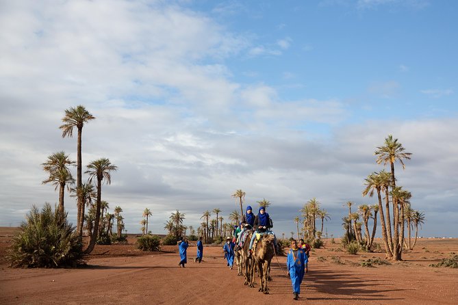 Camel and Quad Biking Tour from Marrakech - Tagine lunch in the middle of the outing