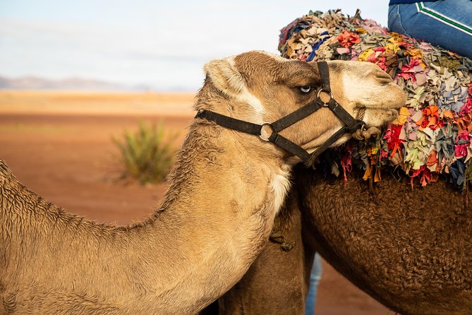 Camel and Quad Biking Tour from Marrakech - The quad-bike route through farms and villages