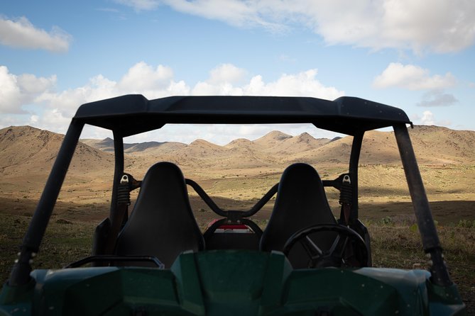 Camel and Quad Biking Tour from Marrakech - Is $98.48 a fair price?