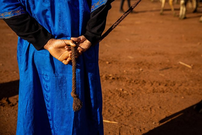 Camel and Quad Biking Tour from Marrakech - What to wear and bring