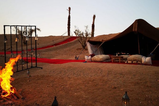Camel ride and dinner Agafay desert - Key points at a glance