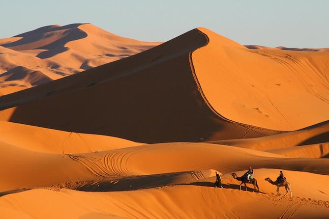 ✅ Camel Ride and Overnight in Sahara Desert Camp - What the $87.24 price really covers