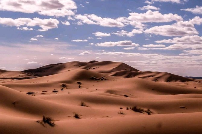 ✅ Camel Ride and Overnight in Sahara Desert Camp - Who will enjoy this desert night most