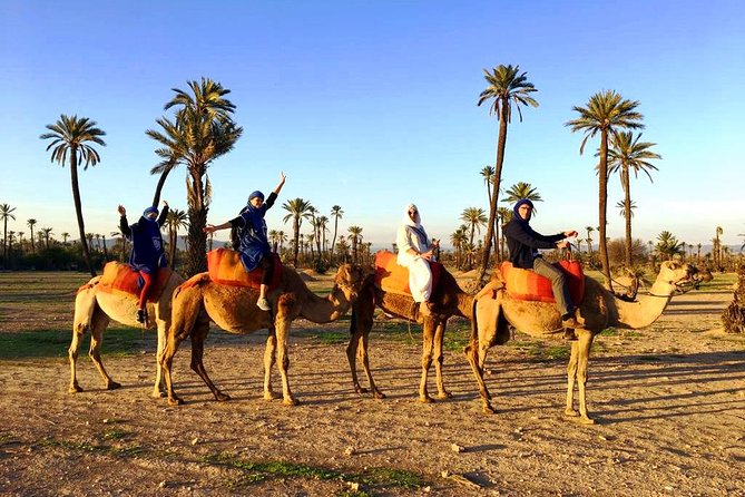 Camel Ride and Spa Treatment in Marrakech - How the $67.46 price stacks up
