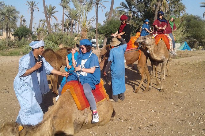 Camel ride at sunset in Marrakech palm grove - Leaving Marrakech for the Palmeraie