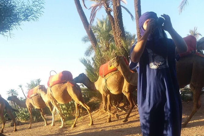 Camel Ride at the Palm Groves in Marrakech - Mint tea and Moroccan hospitality