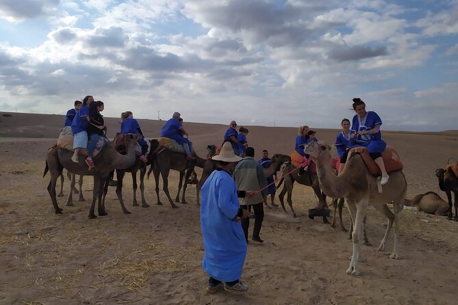 Camel Ride at the Palm Groves in Marrakech - Choosing morning or afternoon