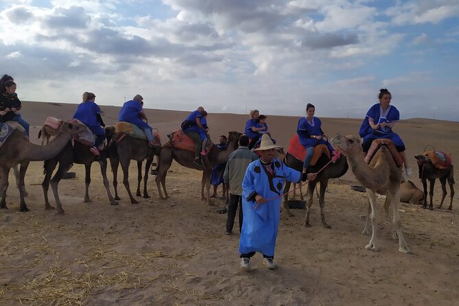 Camel Ride at the Palm Groves in Marrakech - What the $23.32 price really covers