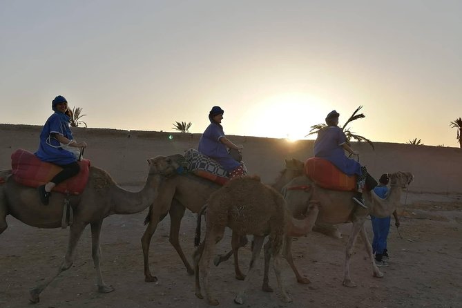 Camel Ride at the Palm Groves in Marrakech - The service strengths and the weak spot
