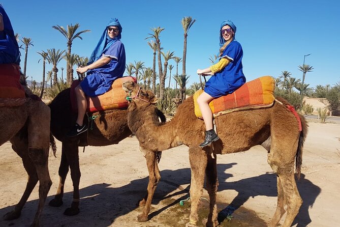 Camel Ride at the Palm Groves in Marrakech - Who will enjoy this Marrakech outing