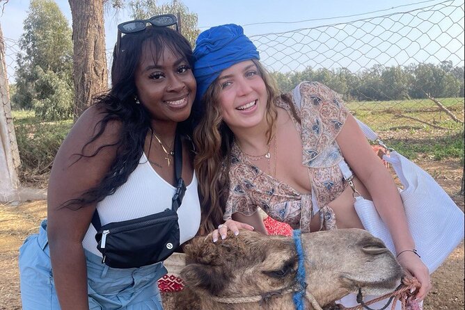 Camel ride in agadir at sunset with barbecue and couscous - Key points to know before you book