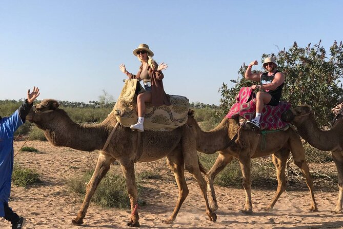Camel ride in agadir at sunset with barbecue and couscous - Two hours at a gentle camel pace