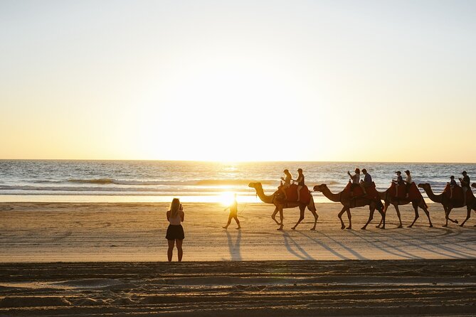 Camel ride in agadir at sunset with barbecue and couscous - Watching for flamingos by the Souss River