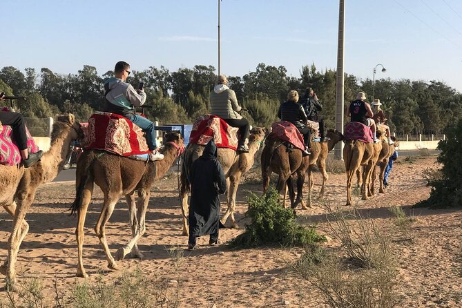 Camel ride in agadir at sunset with barbecue and couscous - Sunset views need a little flexibility