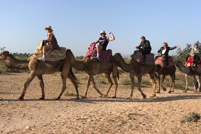 Camel ride in agadir at sunset with barbecue and couscous - Barbecue and couscous at the end