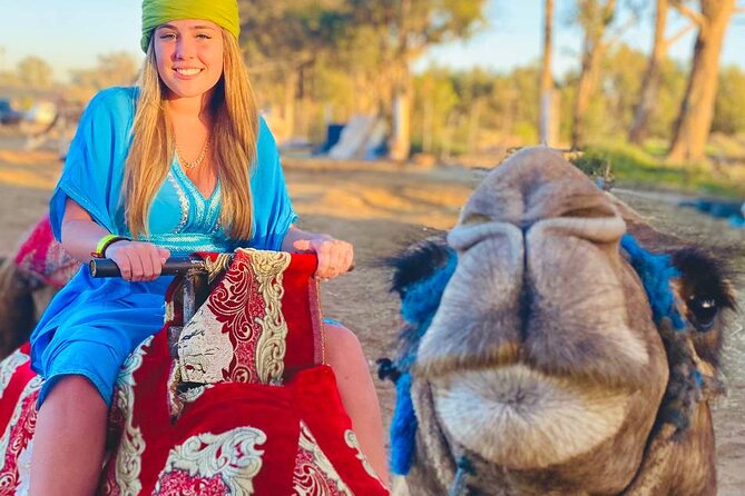 Camel ride in agadir at sunset with barbecue and couscous - Pickup is convenient, but keep expectations realistic