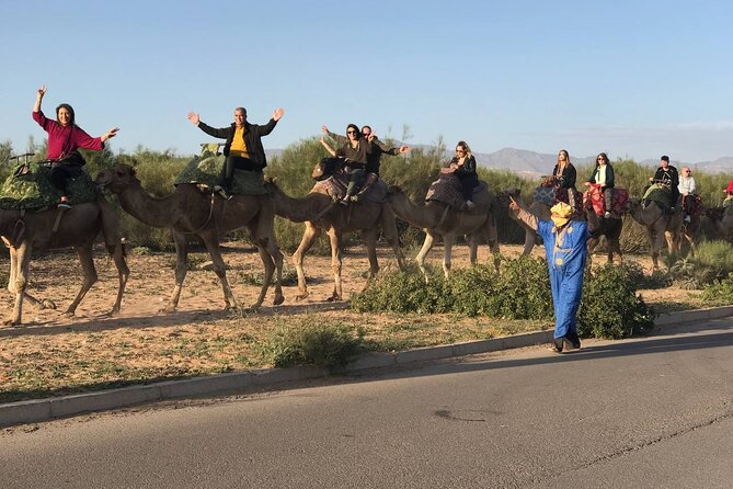 Camel ride in agadir at sunset with barbecue and couscous - Is $34.89 good value?